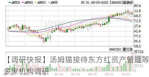 【调研快报】汤姆猫接待东方红资产管理等多家机构调研