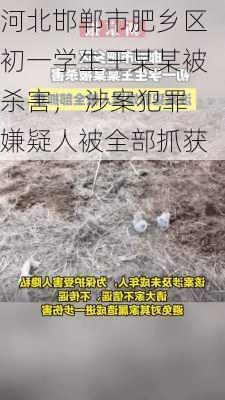 河北邯郸市肥乡区初一学生王某某被杀害， 涉案犯罪嫌疑人被全部抓获