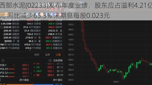 西部水泥(02233)发布年度业绩，股东应占溢利4.21亿元 同比减少65.3% 末期息每股0.023元