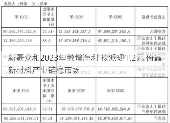 新疆众和2023年微增净利 拟派现1.2元 倚靠新材料产业链稳市场