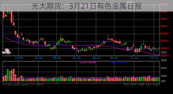 光大期货：3月21日有色金属日报