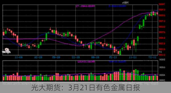 光大期货：3月21日有色金属日报