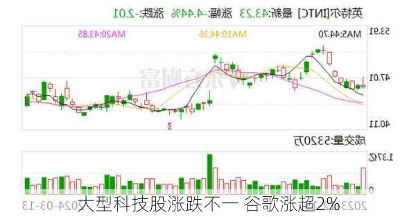 大型科技股涨跌不一 谷歌涨超2%