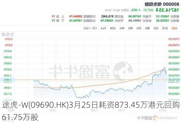 途虎-W(09690.HK)3月25日耗资873.45万港元回购61.75万股