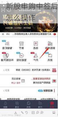 新股申购中签后怎么操作