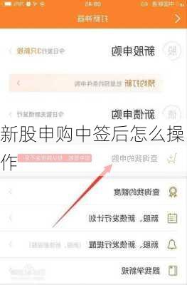 新股申购中签后怎么操作