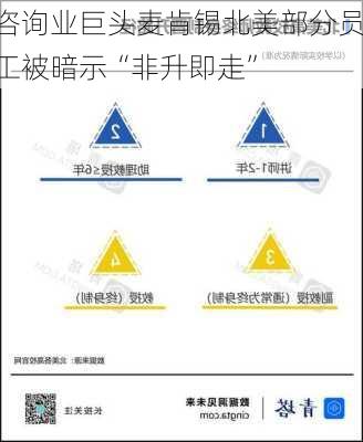 咨询业巨头麦肯锡北美部分员工被暗示“非升即走”