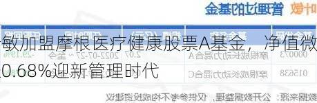 叶敏加盟摩根医疗健康股票A基金，净值微涨0.68%迎新管理时代