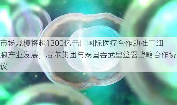 市场规模将超1300亿元！国际医疗合作助推干细胞产业发展，赛尔集团与泰国吞武里签署战略合作协议