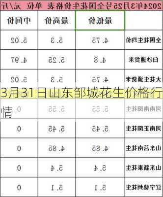 3月31日山东邹城花生价格行情