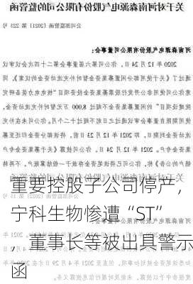 重要控股子公司停产，宁科生物惨遭“ST”，董事长等被出具警示函