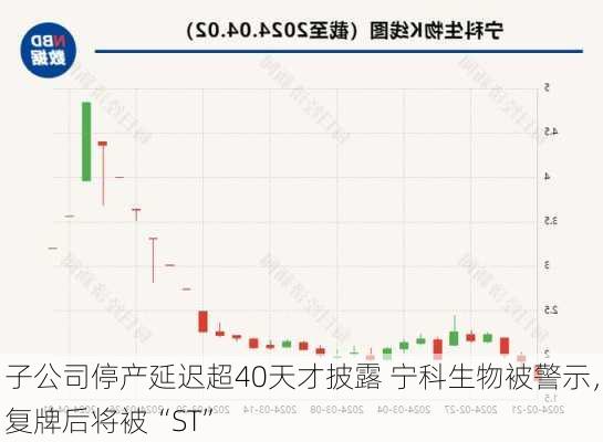 子公司停产延迟超40天才披露 宁科生物被警示，复牌后将被“ST”