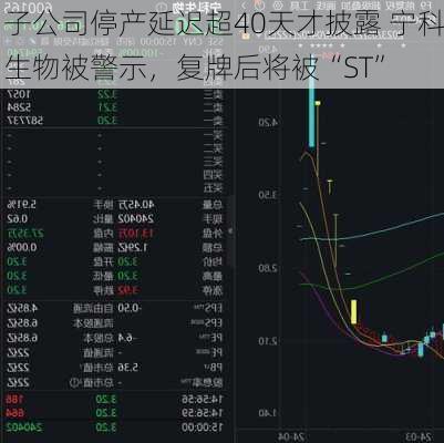 子公司停产延迟超40天才披露 宁科生物被警示，复牌后将被“ST”