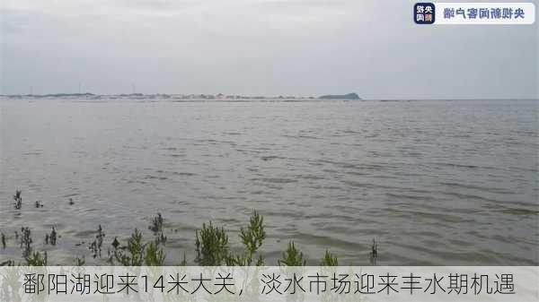 鄱阳湖迎来14米大关，淡水市场迎来丰水期机遇