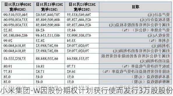 小米集团-W因股份期权计划获行使而发行3万股股份