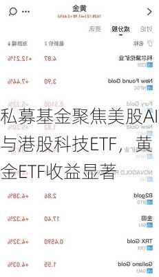 私募基金聚焦美股AI与港股科技ETF，黄金ETF收益显著