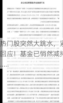 热门股突然大跳水，紧急回应！基金已悄然减持......