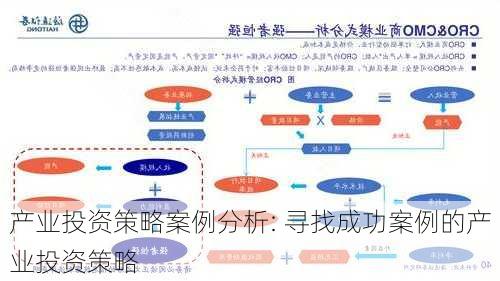 产业投资策略案例分析: 寻找成功案例的产业投资策略