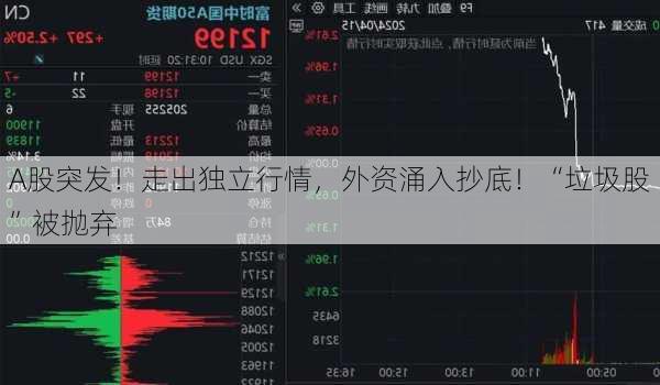 A股突发！走出独立行情，外资涌入抄底！“垃圾股”被抛弃