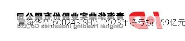 青海华鼎(600243.SH)：2023年净亏损1.59亿元