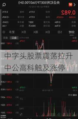 中字头股票震荡拉升 中公高科触及涨停