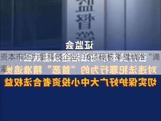 资本市场力挺科技企业  16项硬核举措精准“滴灌”