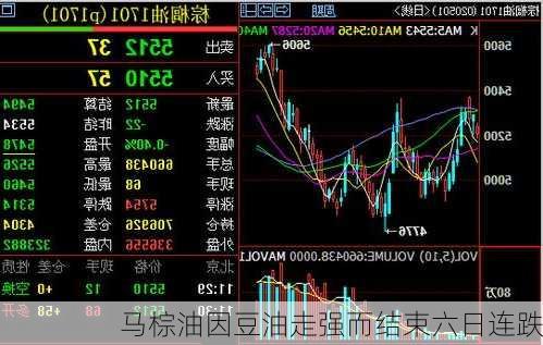 马棕油因豆油走强而结束六日连跌