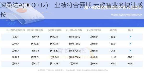 深桑达A(000032)：业绩符合预期 云数智业务快速成长