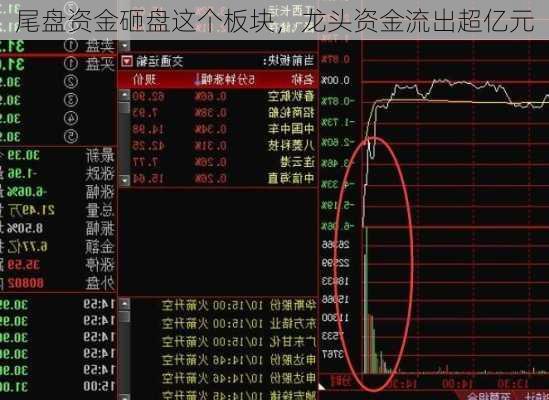 尾盘资金砸盘这个板块，龙头资金流出超亿元