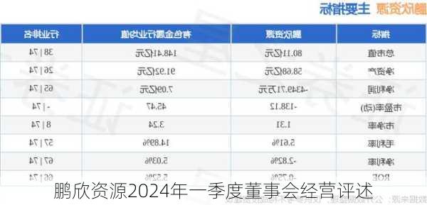 鹏欣资源2024年一季度董事会经营评述