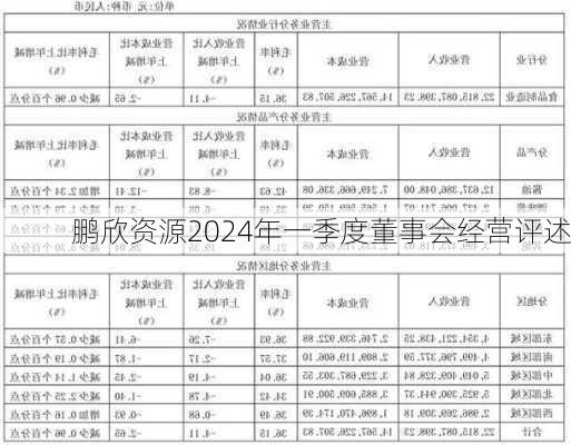 鹏欣资源2024年一季度董事会经营评述