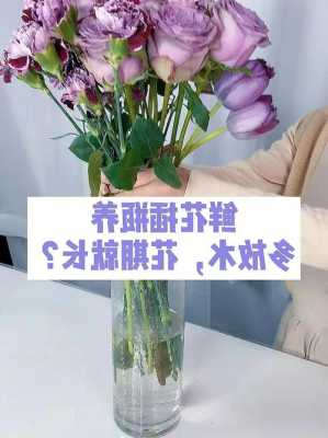 鲜花保鲜剂有什么用途