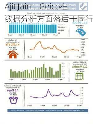 Ajit Jain：Geico在数据分析方面落后于同行