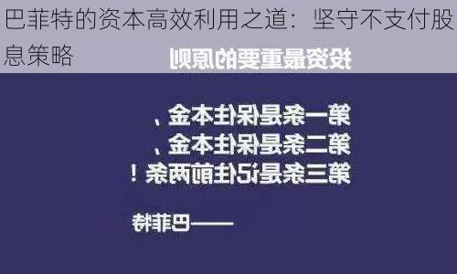 巴菲特的资本高效利用之道：坚守不支付股息策略