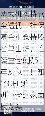 两大机构持仓全透视！社保基金重仓持股名单出炉，连续重仓8股5年及以上！知名QFII新进重仓这家面板龙头