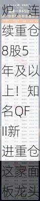 两大机构持仓全透视！社保基金重仓持股名单出炉，连续重仓8股5年及以上！知名QFII新进重仓这家面板龙头