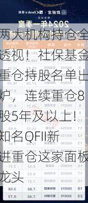 两大机构持仓全透视！社保基金重仓持股名单出炉，连续重仓8股5年及以上！知名QFII新进重仓这家面板龙头