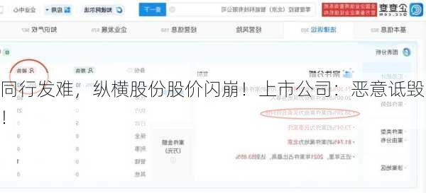 同行发难，纵横股份股价闪崩！上市公司：恶意诋毁！