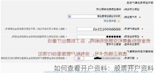 如何查看开户资料：股票开户资料