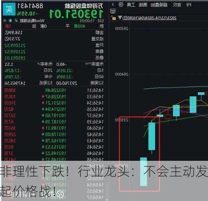 非理性下跌！行业龙头：不会主动发起价格战！