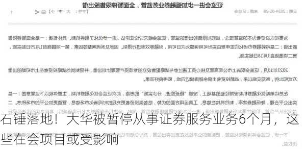 石锤落地！大华被暂停从事证券服务业务6个月，这些在会项目或受影响