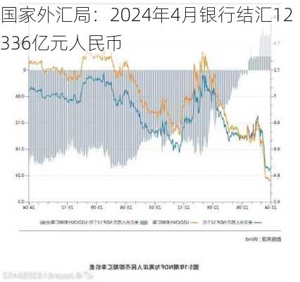 国家外汇局：2024年4月银行结汇12336亿元人民币