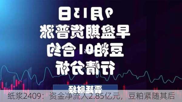 纸浆2409：资金净流入2.85亿元，豆粕紧随其后