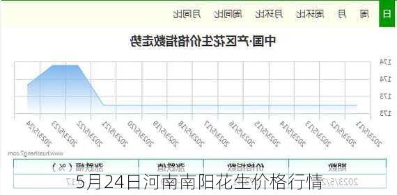 5月24日河南南阳花生价格行情