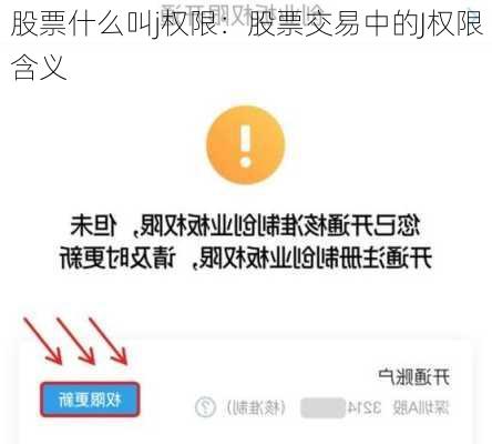 股票什么叫j权限：股票交易中的J权限含义