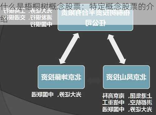 什么是梧桐树概念股票：特定概念股票的介绍