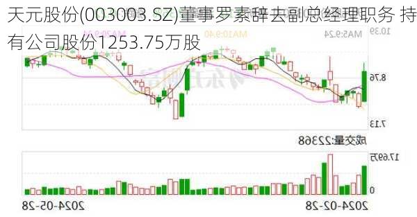 天元股份(003003.SZ)董事罗素辞去副总经理职务 持有公司股份1253.75万股