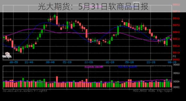 光大期货：5月31日软商品日报