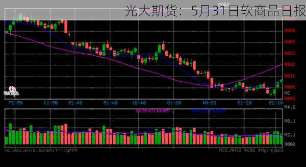 光大期货：5月31日软商品日报