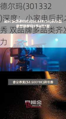 德尔玛(301332)深度：小家电后起之秀 双品牌多品类齐发力